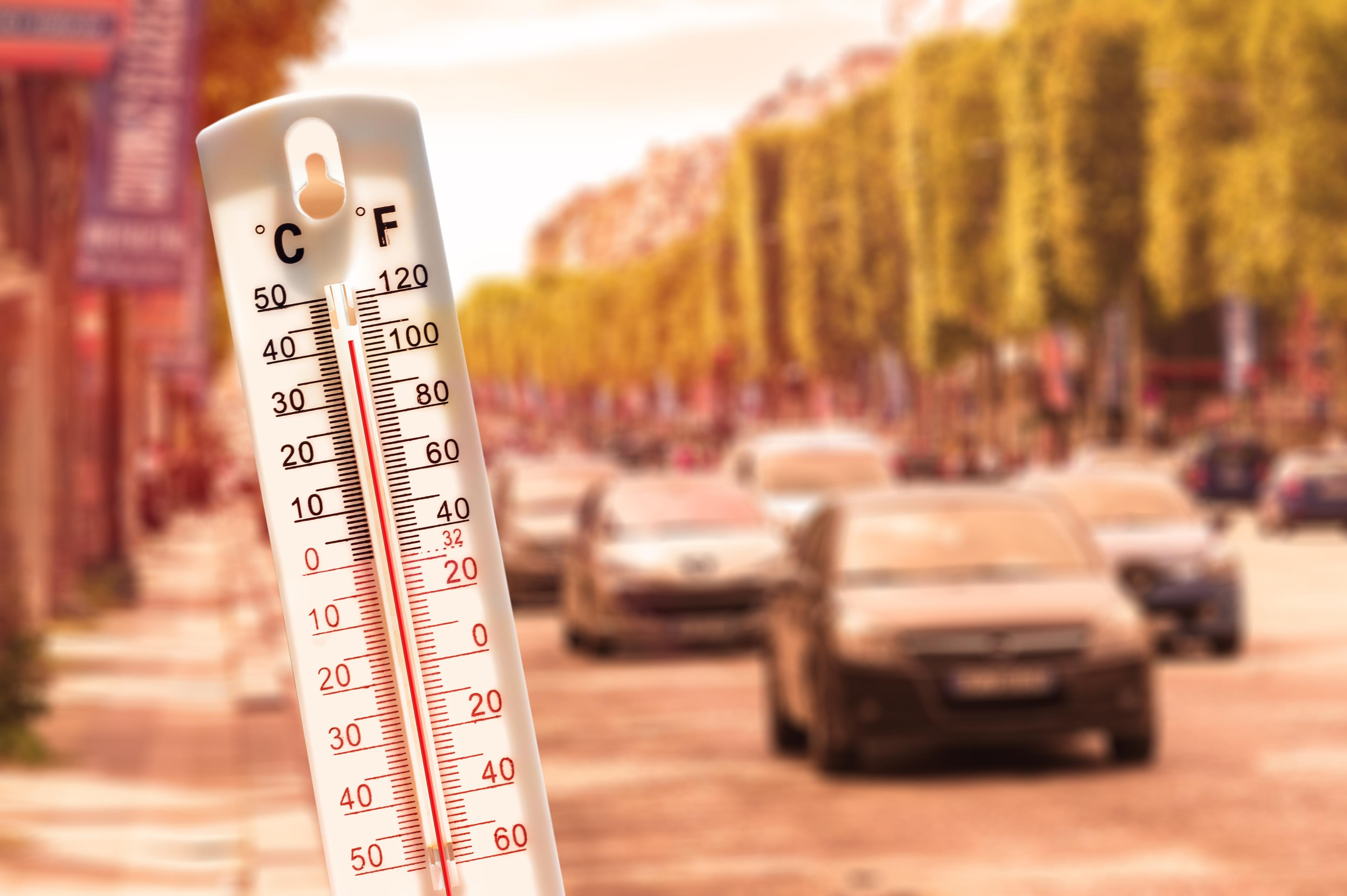A thermometer next to a busy road