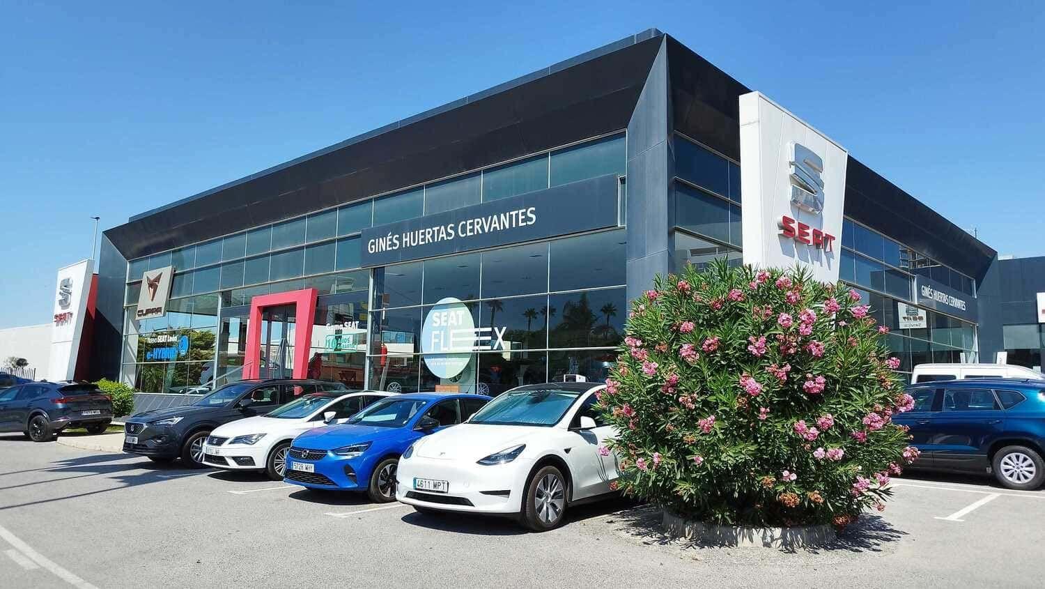 dealership-month-jun-2024