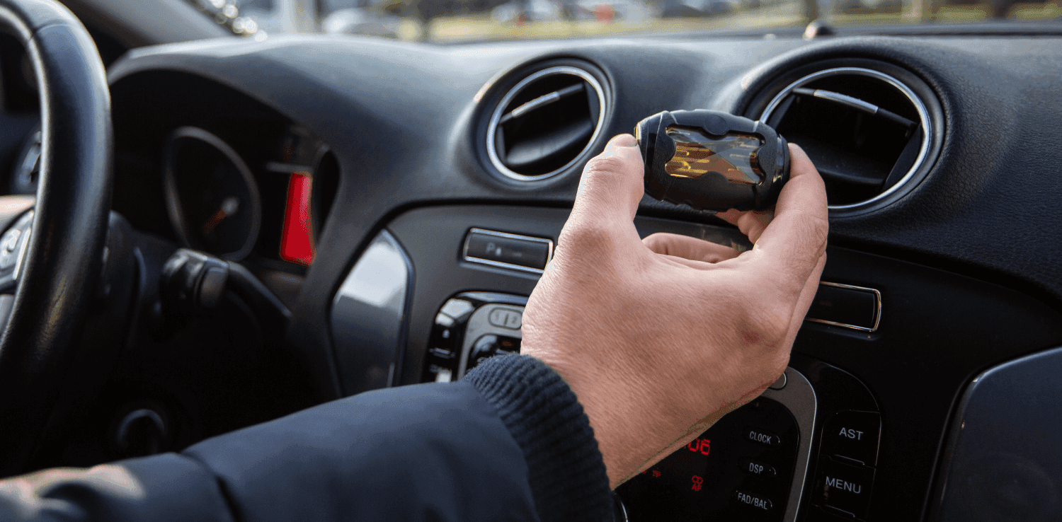 Novelty car accessory