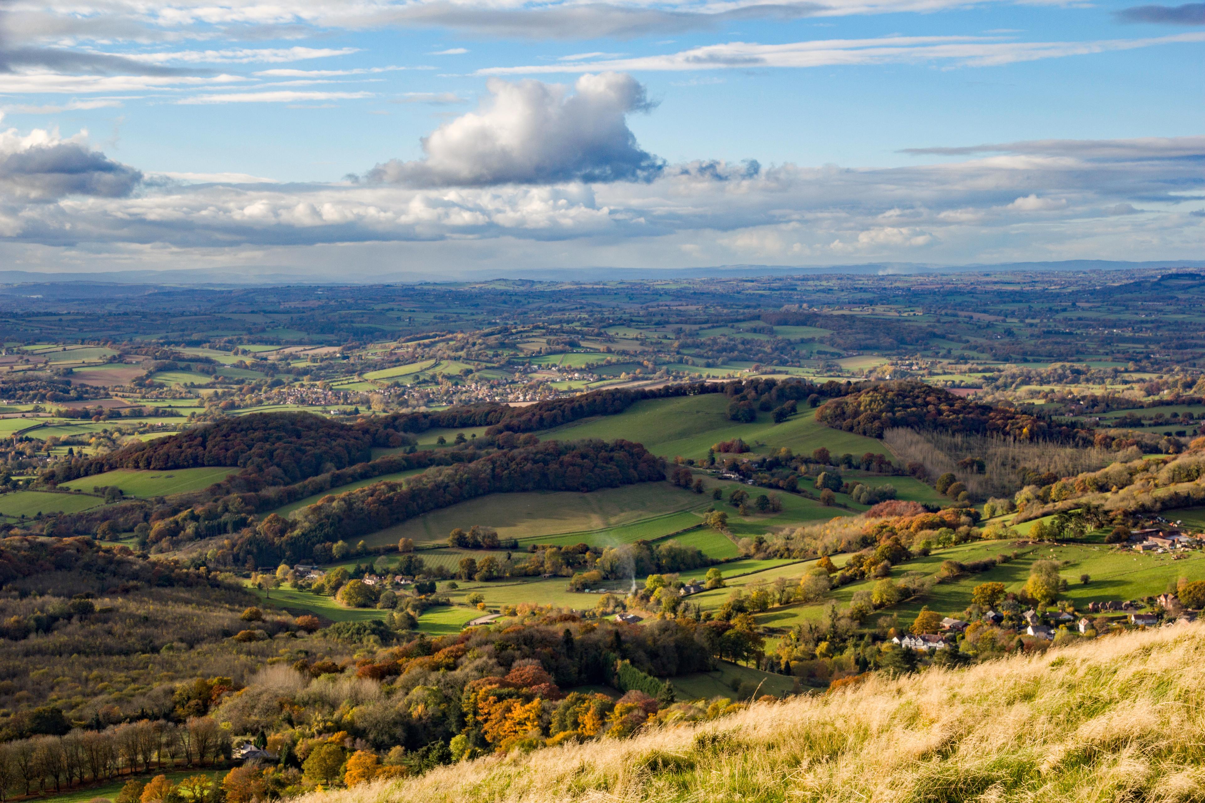 Worcestershire